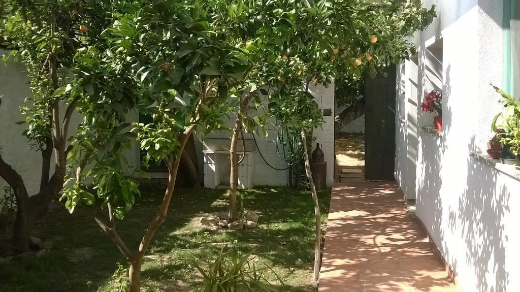 Sardinia Eco Vegan House Zeddiani Exterior foto